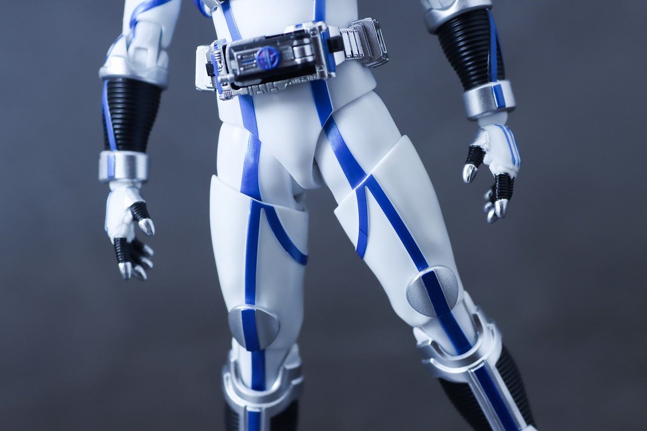 S.H.フィギュアーツ 真骨彫製法　仮面ライダーサイガ　レビュー　本体