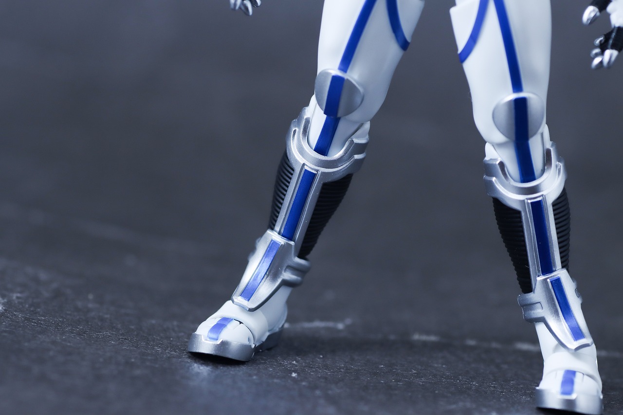 S.H.フィギュアーツ 真骨彫製法　仮面ライダーサイガ　レビュー　本体