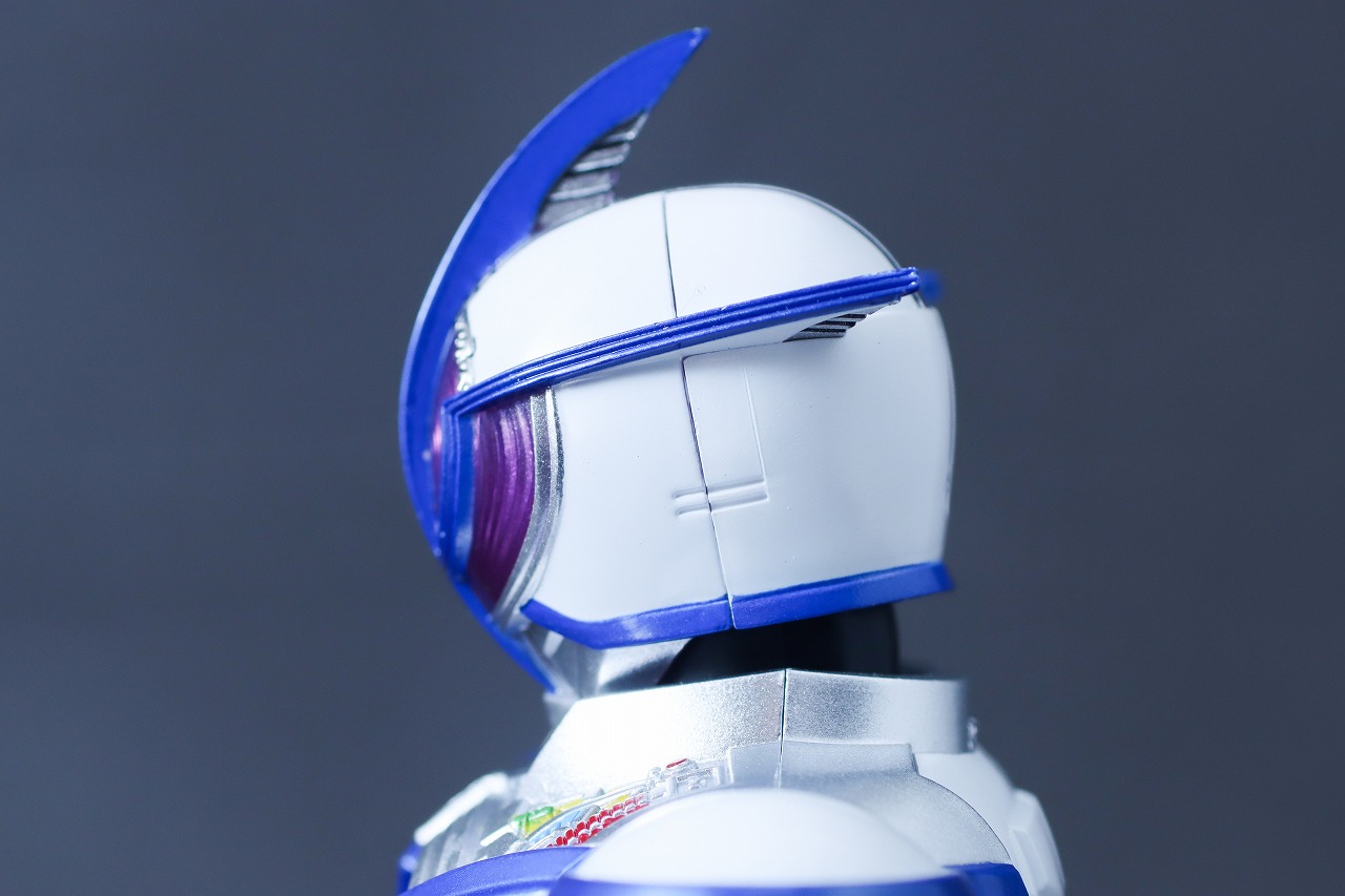 S.H.フィギュアーツ 真骨彫製法 仮面ライダーサイガ レビュー 本体