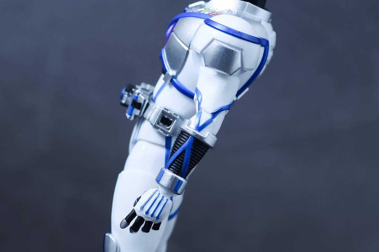 S.H.フィギュアーツ 真骨彫製法　仮面ライダーサイガ　レビュー　本体