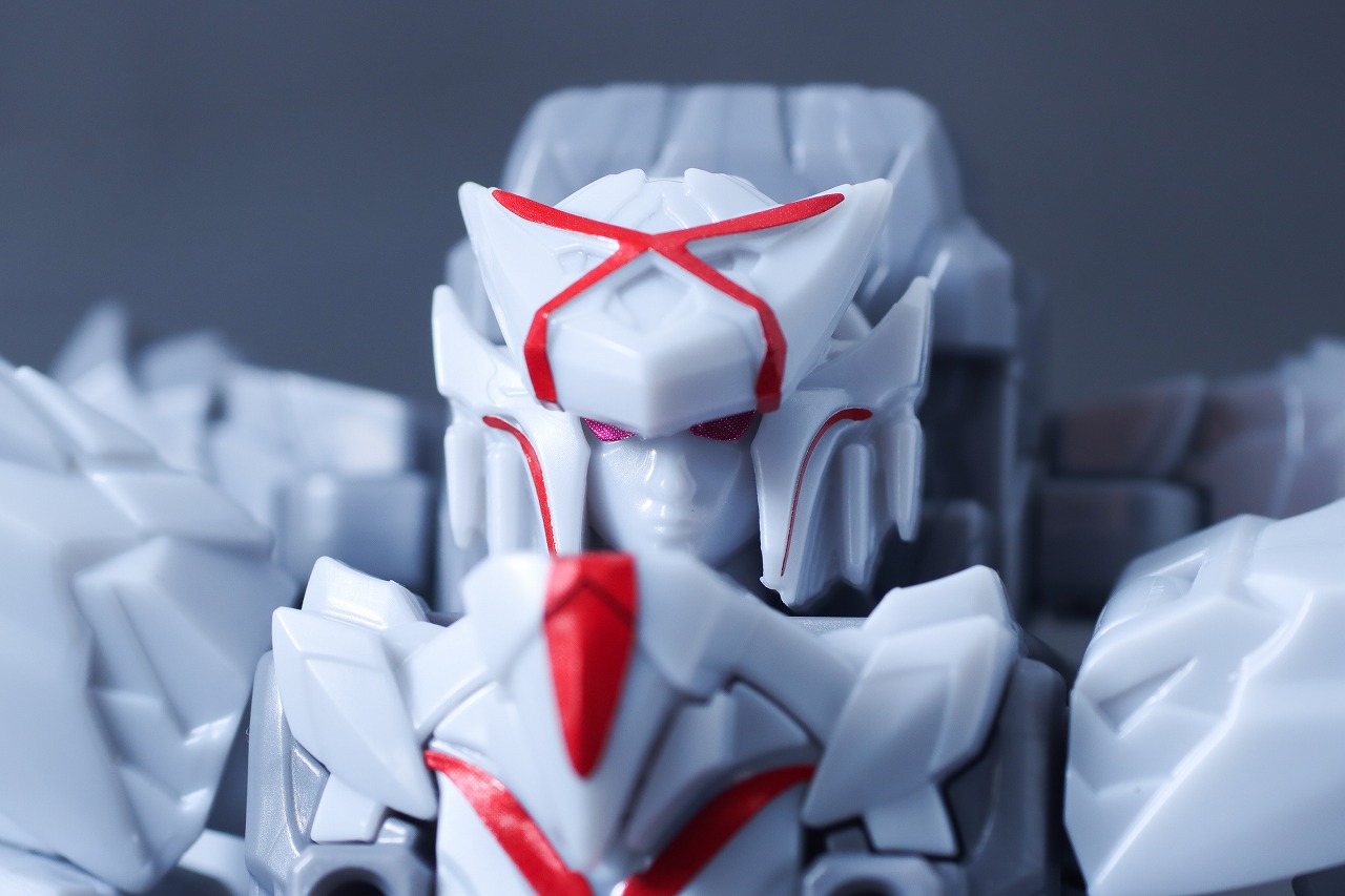 ミニプラ　テガジューン　レビュー　本体