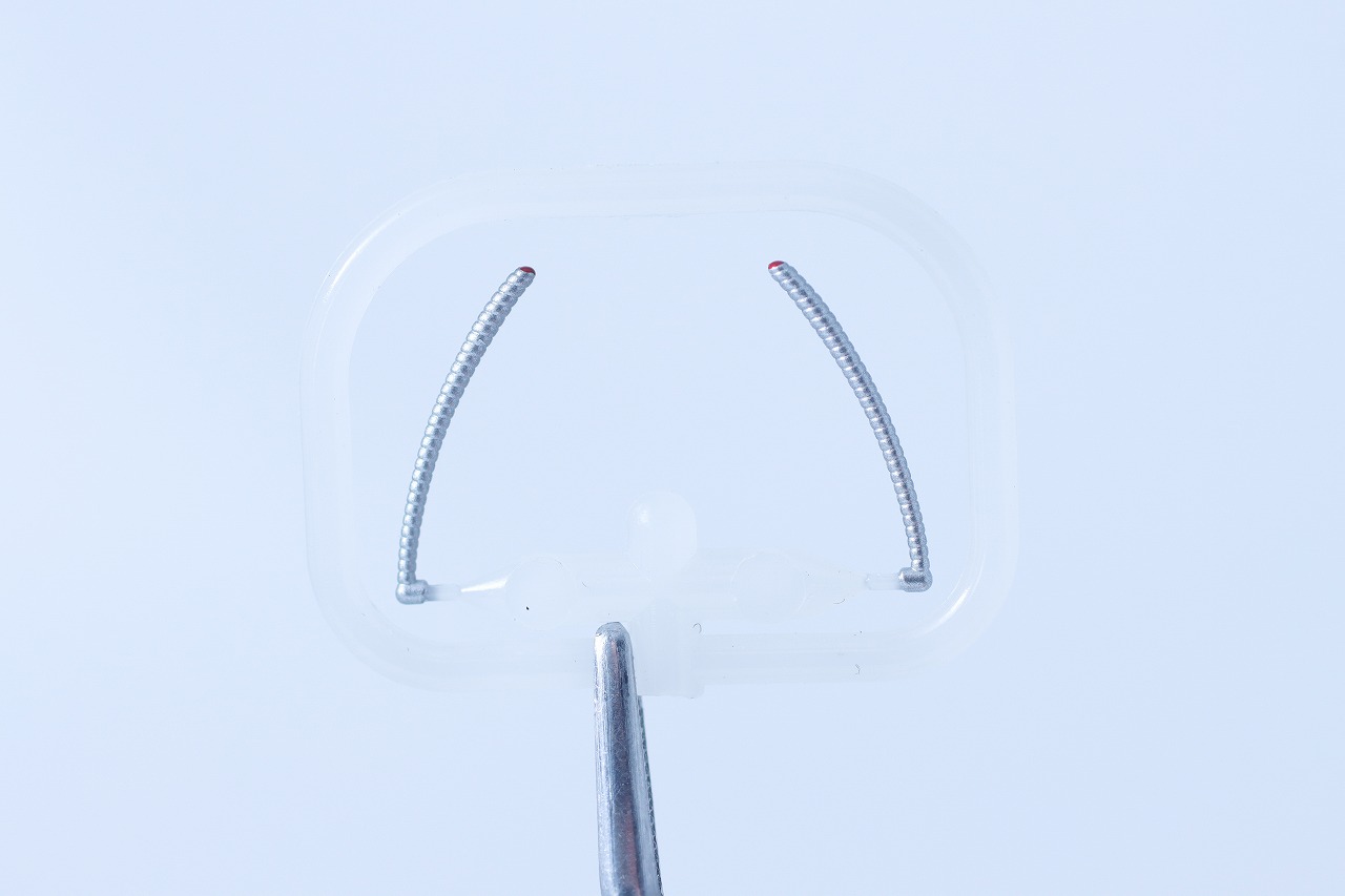 S.H.フィギュアーツ 真骨彫製法　仮面ライダー2号／一文字隼　THE NEXT　レビュー　付属品　予備アンテナ