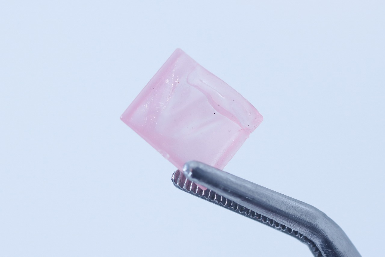 S.H.フィギュアーツ　ショウマ　仮面ライダーガヴ　レビュー　付属品　グミ袋