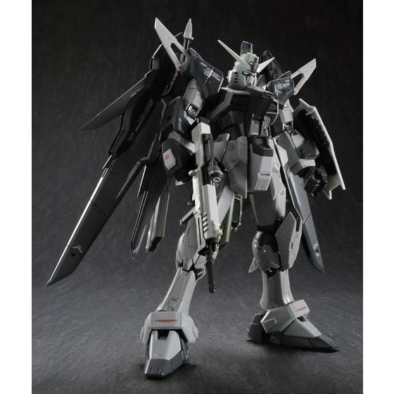 RG 1/144 デスティニーガンダム ディアクティブモード