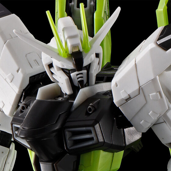 RG 1/144 フリーダムガンダム APEX LEGENDS(TM) クリプト Ver.