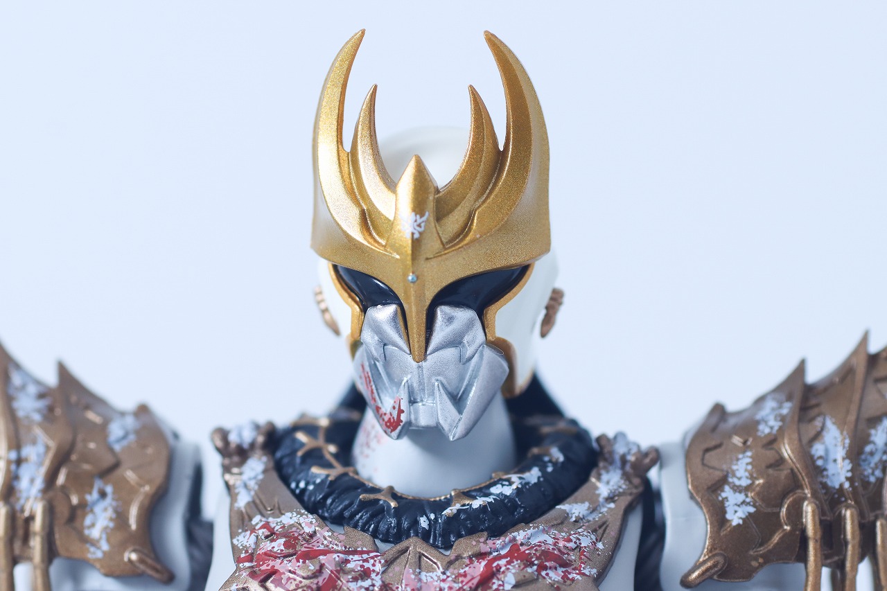 S.H.フィギュアーツ 真骨彫製法　ン・ダグバ・ゼバ 九郎ヶ岳の死闘セット　レビュー　本体