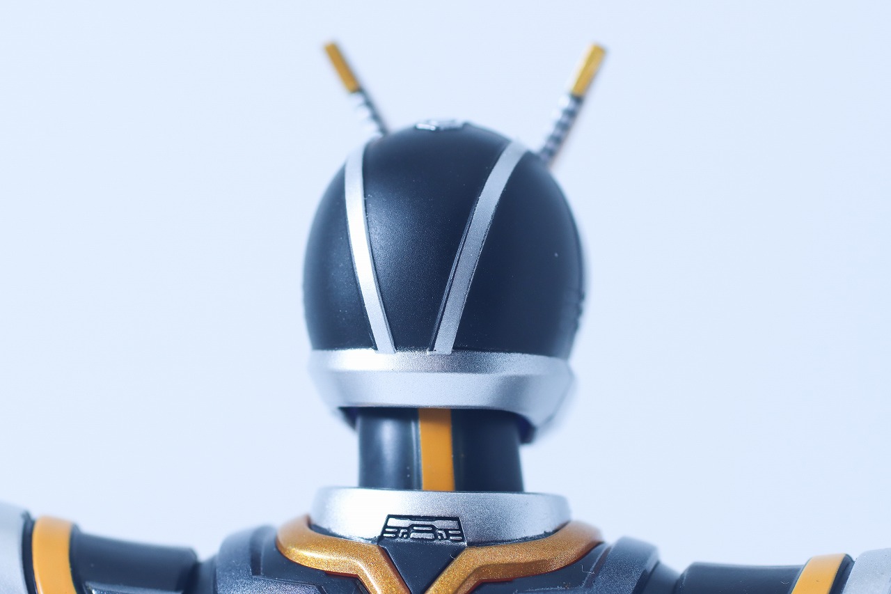 S.H.フィギュアーツ 真骨彫製法　仮面ライダーカイザ　レビュー　本体