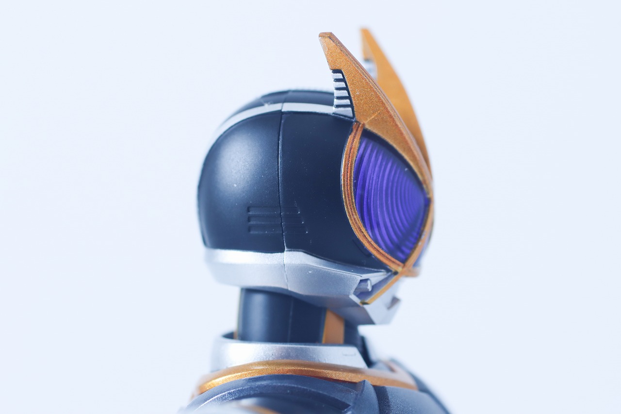 S.H.フィギュアーツ 真骨彫製法　仮面ライダーカイザ　レビュー　本体