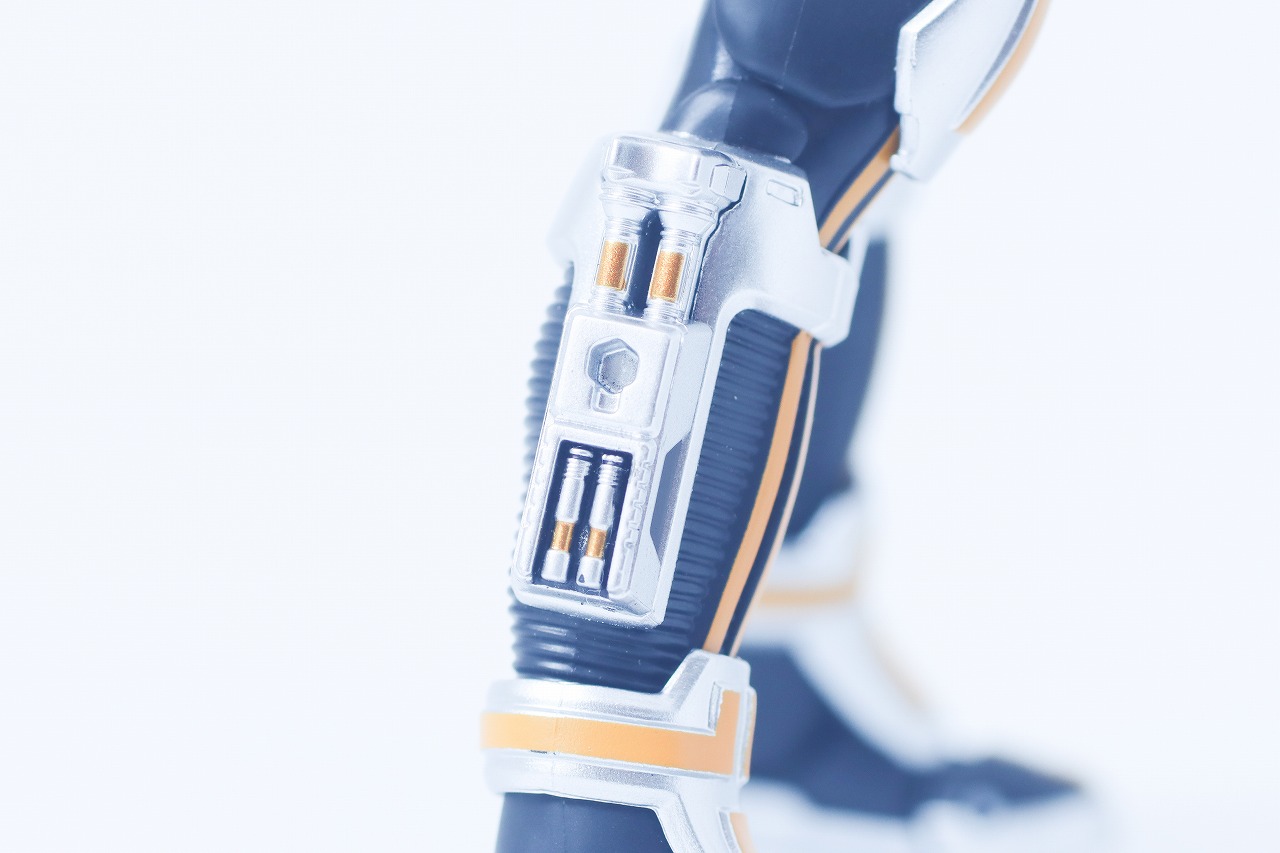 S.H.フィギュアーツ 真骨彫製法　仮面ライダーカイザ　レビュー　本体