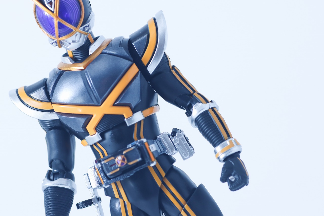 S.H.フィギュアーツ 真骨彫製法　仮面ライダーカイザ　レビュー　本体