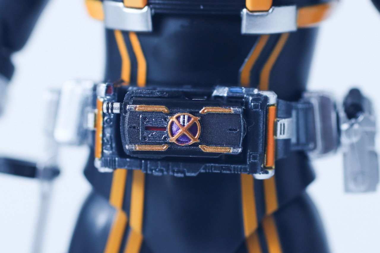 S.H.フィギュアーツ 真骨彫製法　仮面ライダーカイザ　レビュー　本体