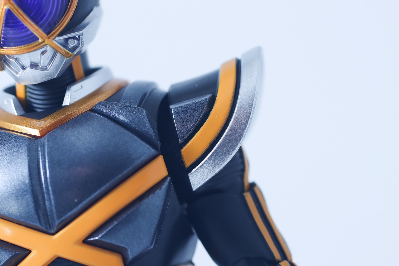 S.H.フィギュアーツ 真骨彫製法　仮面ライダーカイザ　レビュー　本体