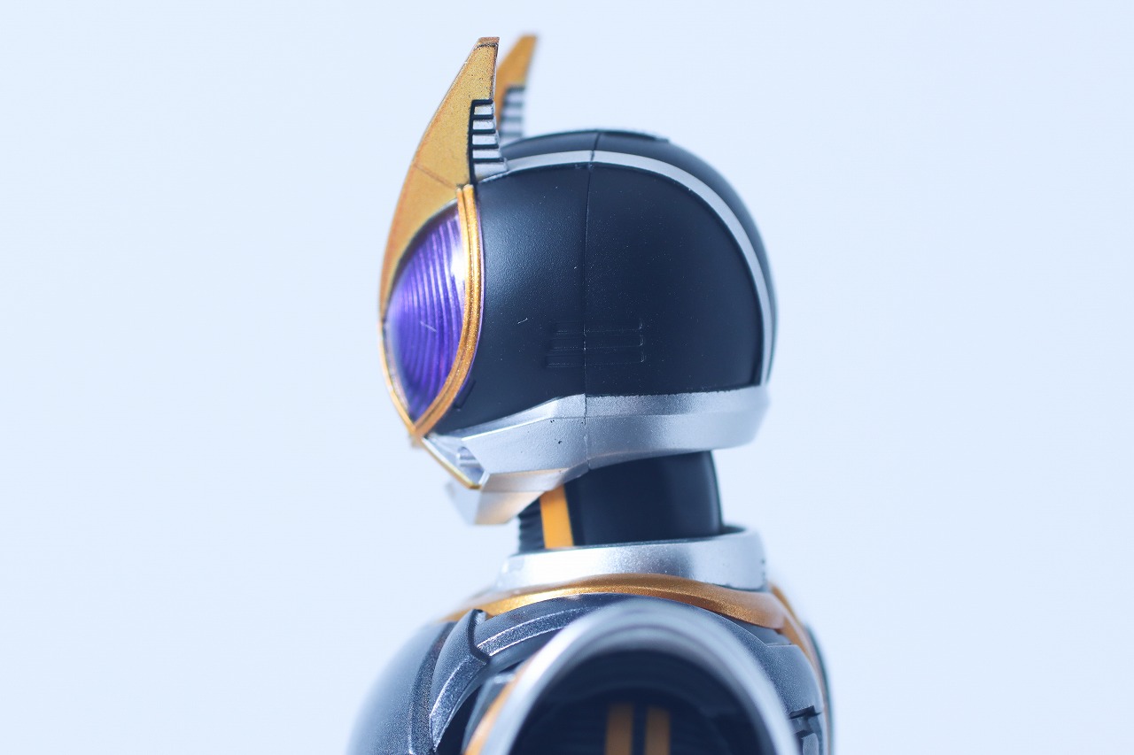S.H.フィギュアーツ 真骨彫製法　仮面ライダーカイザ　レビュー　本体