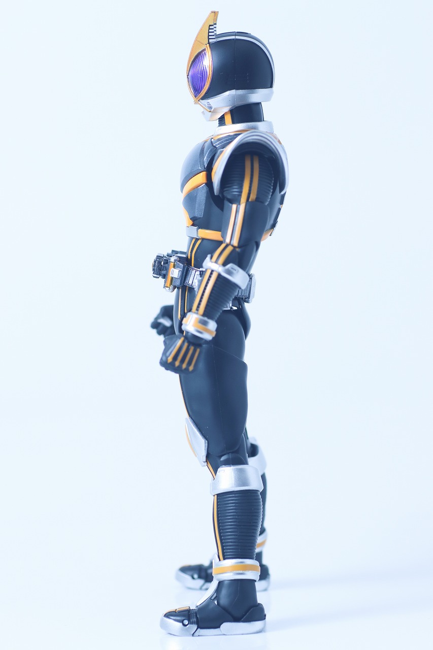 S.H.フィギュアーツ 真骨彫製法　仮面ライダーカイザ　レビュー　本体