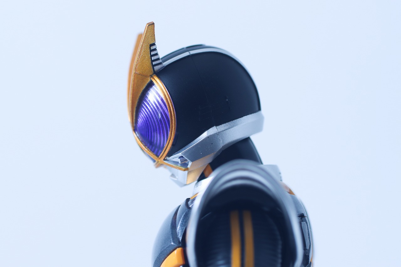S.H.フィギュアーツ 真骨彫製法　仮面ライダーカイザ　レビュー　可動範囲
