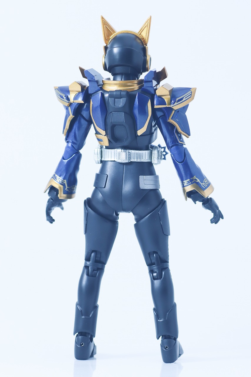 S.H.フィギュアーツ 仮面ライダーナーゴ ファンタジーフォーム レビュー 本体