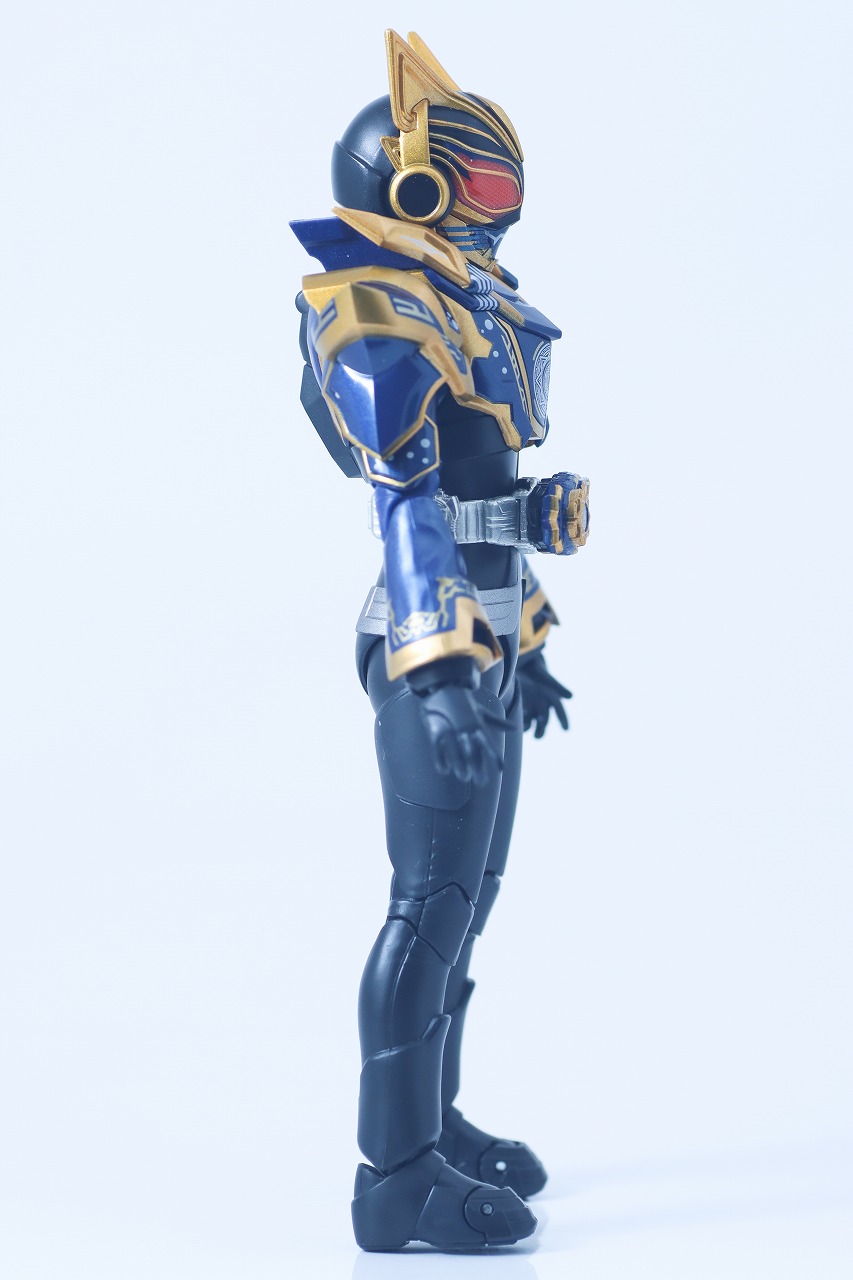 S.H.フィギュアーツ 仮面ライダーナーゴ ファンタジーフォーム レビュー 本体