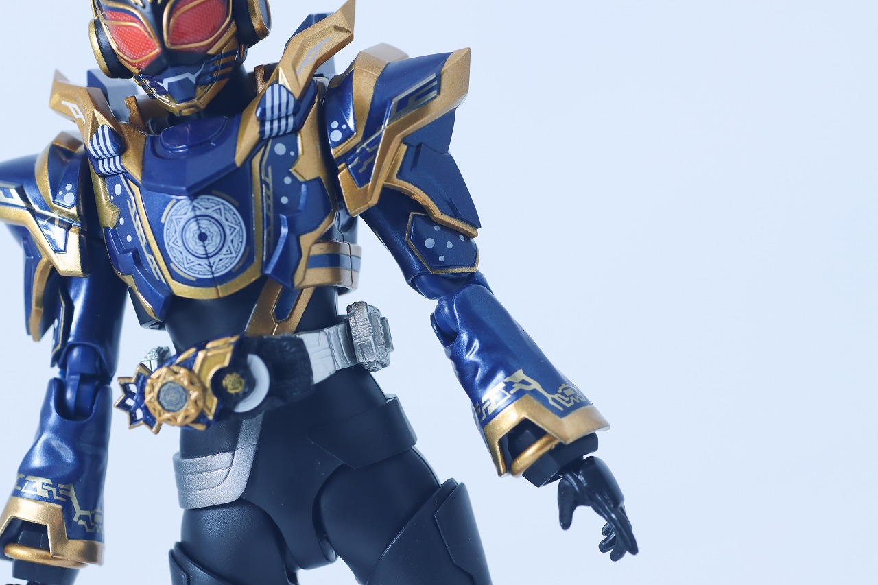 S.H.フィギュアーツ　仮面ライダーナーゴ ファンタジーフォーム　レビュー　本体