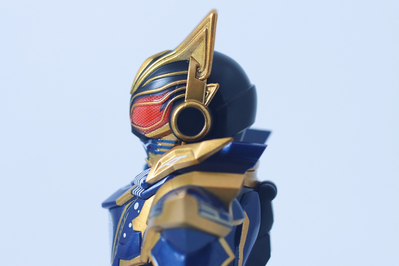 S.H.フィギュアーツ 仮面ライダーナーゴ ファンタジーフォーム レビュー 本体