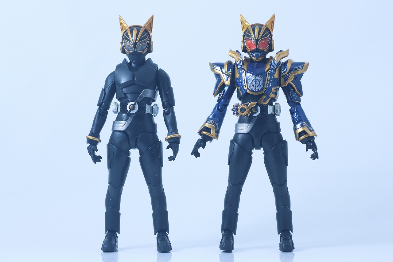 S.H.フィギュアーツ　仮面ライダーナーゴ ファンタジーフォーム　レビュー　本体　エントリーレイズフォーム　比較