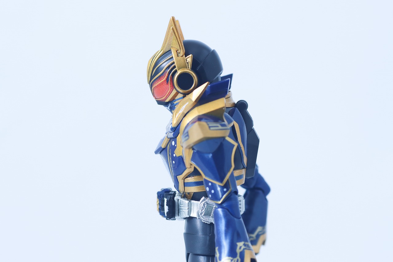 S.H.フィギュアーツ 仮面ライダーナーゴ ファンタジーフォーム レビュー 可動範囲