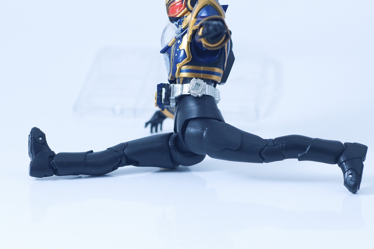 S.H.フィギュアーツ　仮面ライダーナーゴ ファンタジーフォーム　レビュー　可動範囲