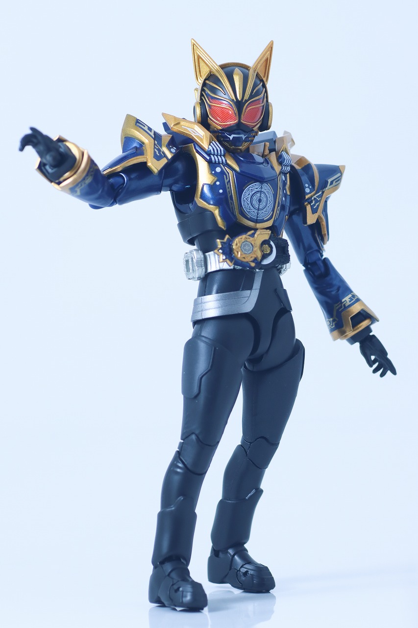 S.H.フィギュアーツ　仮面ライダーナーゴ ファンタジーフォーム　レビュー　本体