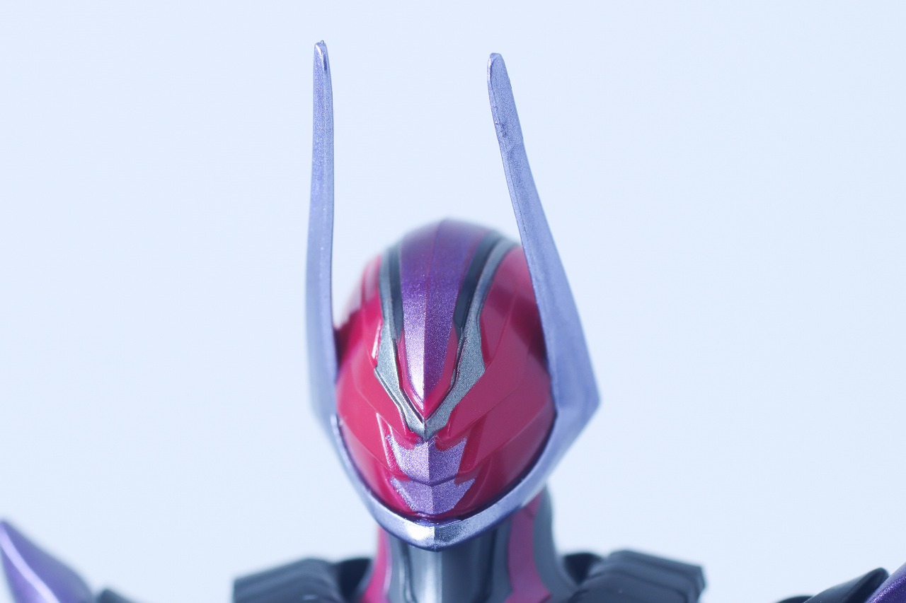 仮面ライダーアクションフィギュア　仮面ライダードォーン　レビュー　本体