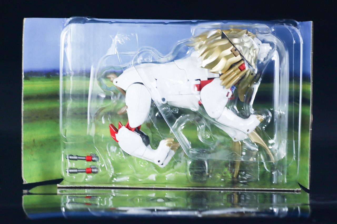 40TH SELECTION　ライオコンボイ　レビュー　パッケージ