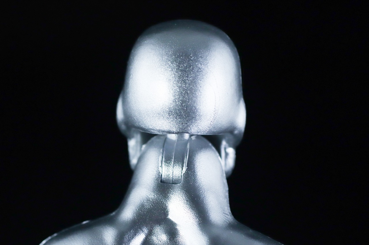 マーベルレジェンド　ミニ・コミックシリーズ　シルバーサーファー　レビュー　本体