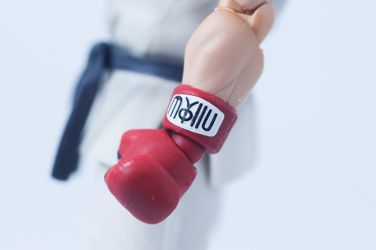 S.H.フィギュアーツ　リュウ Outfit 2　レビュー　本体