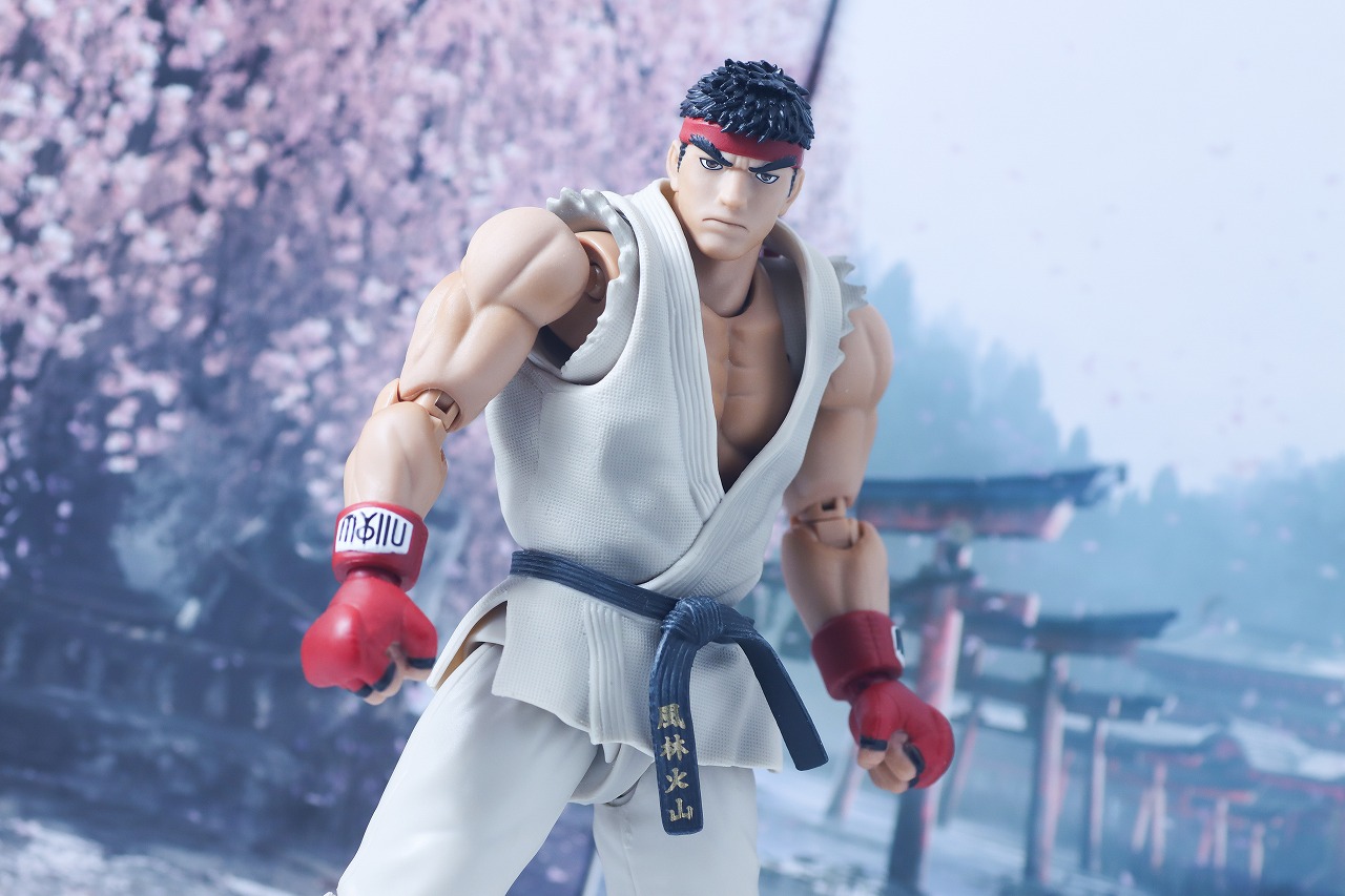 S.H.フィギュアーツ　リュウ Outfit 2　レビュー　アクション
