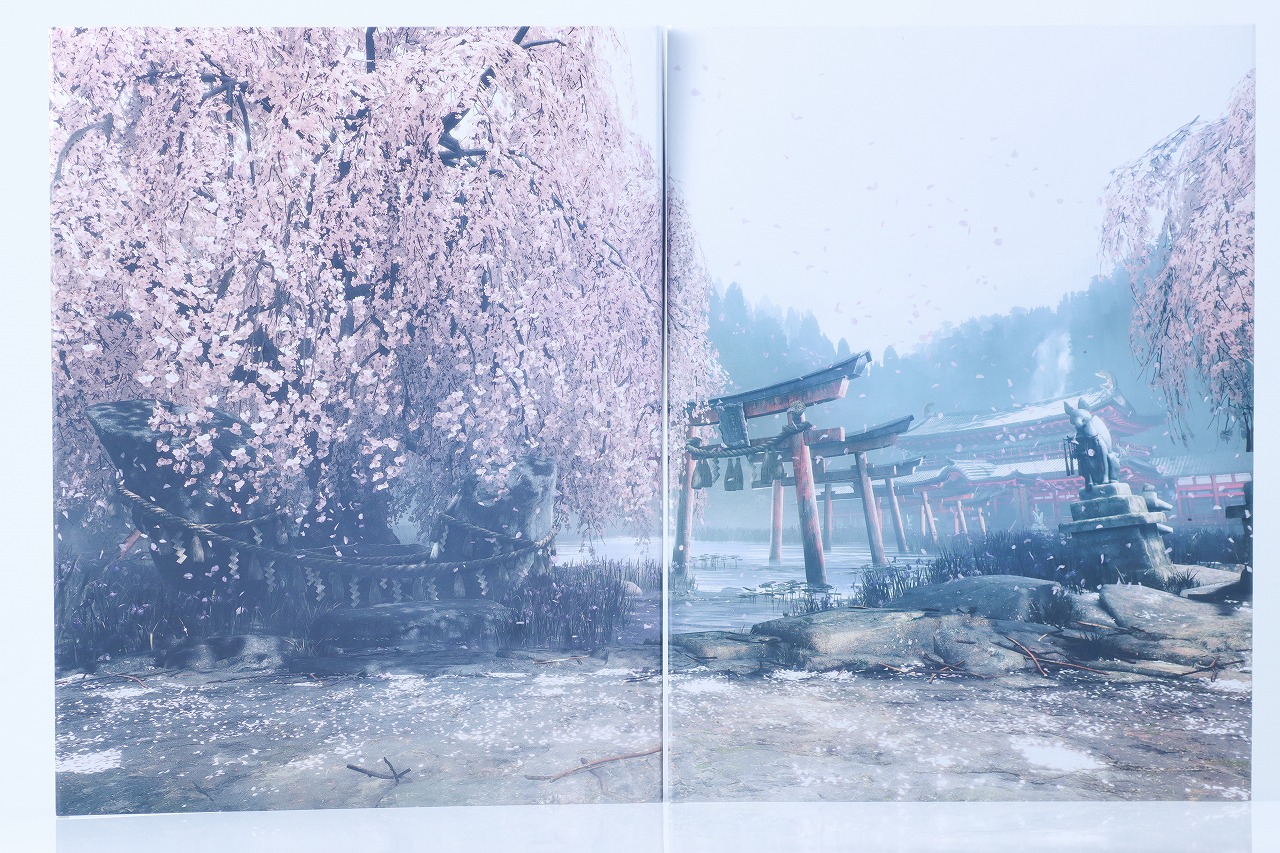 S.H.フィギュアーツ　リュウ Outfit 2　レビュー　付属品　背景シート