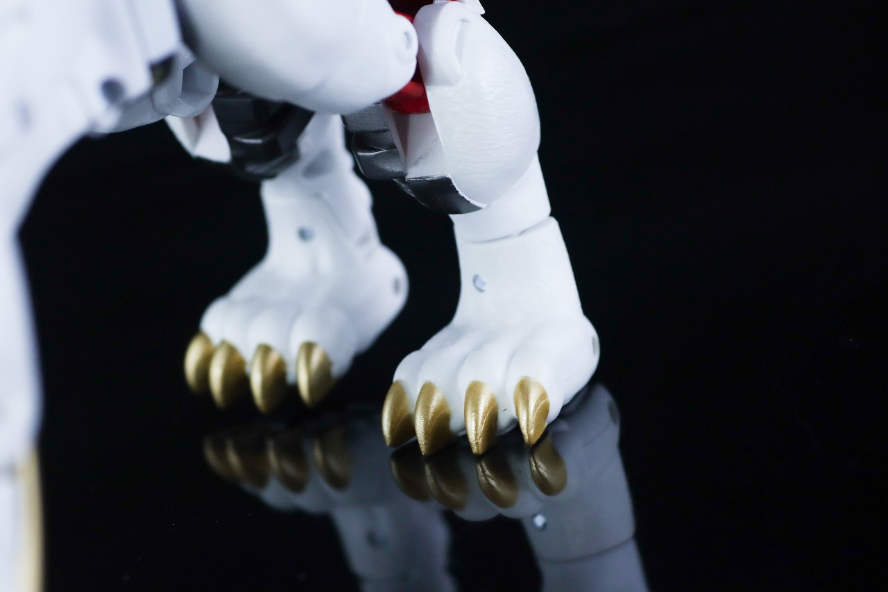 40TH SELECTION　ライオコンボイ　レビュー　本体