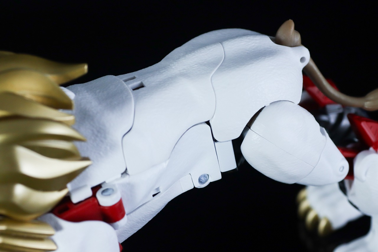 40TH SELECTION　ライオコンボイ　レビュー　本体